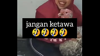 Gadis Montok Menggelinjang Penuh Birahi