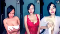 Toge Sunflower Mangolive: Cantiknya Menggoda, Siap Mengguncang Duniamu