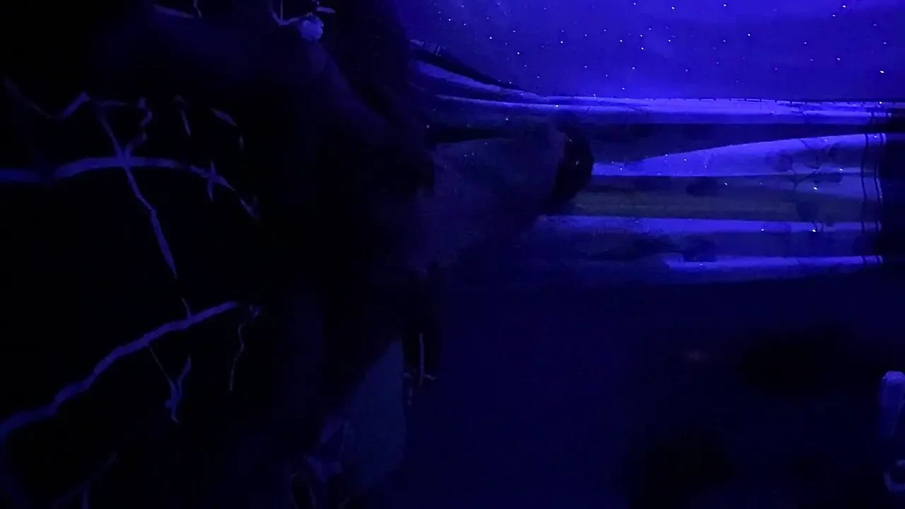 A Video Of A Student Having Sex With Her Boyfriend